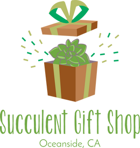 Succulent Gift Shop, Oceanside, CA logo