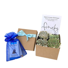 Load image into Gallery viewer, Branded Employee Succulent Gift Box - 4 Plants