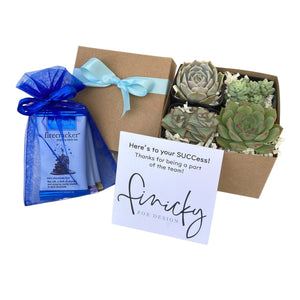 Branded Employee Succulent Gift Box - 4 Plants