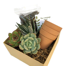 Load image into Gallery viewer, Kraft gift box with 3 terracotta pots, soil, card and 3 succulents.
