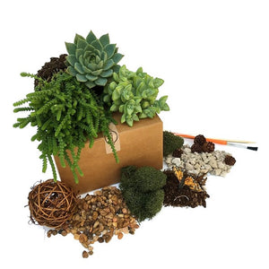 Individual Terrarium kit components: plants, moss, wicker ball, monarch butterfly, soil, natural rocks, volcanic rock and charcoal are shown, as well as tools for assembly.