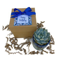 Load image into Gallery viewer, Succulent in Blue Spanish Style Planter