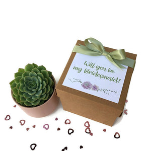 Succulent Gift Box - Bridesmaid Proposal