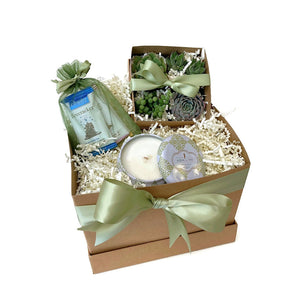 Succulent Gift with Chocolates and Soy Candle (green)